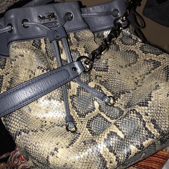 Extra Pics💙Host Pick💙 Authentic Coach Limited Edition Blue Python 💙 - Picture 14 of 15